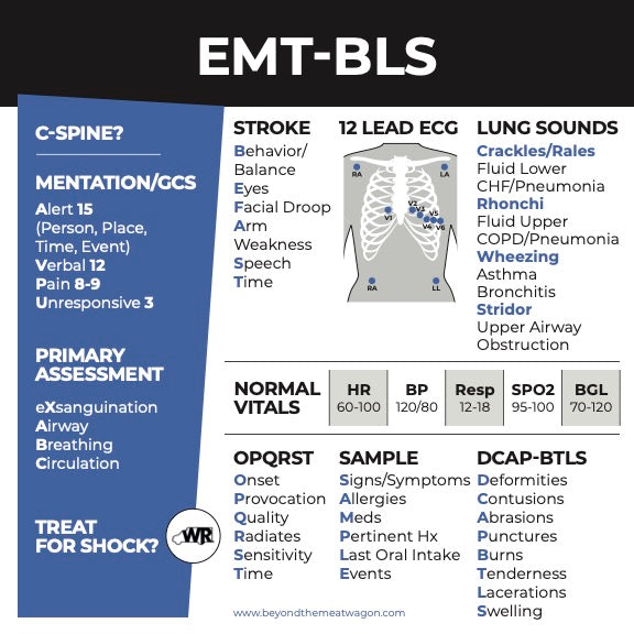 BLS/EMT Medical Reference Stickers