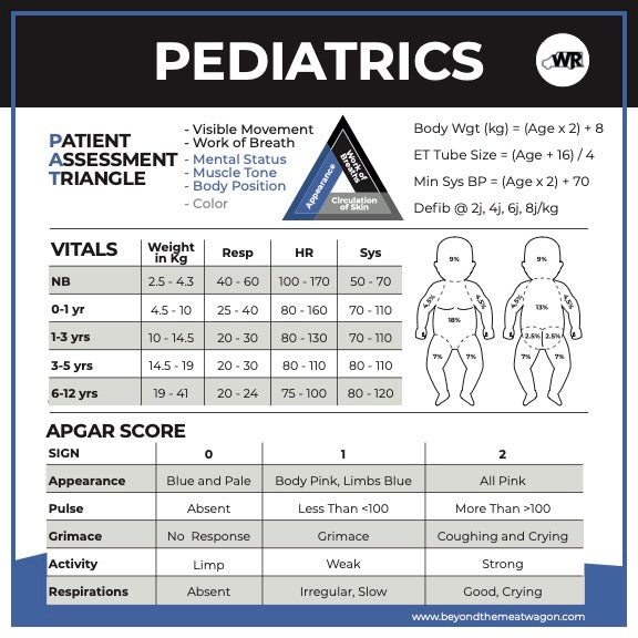 BLS/EMT Medical Reference Stickers